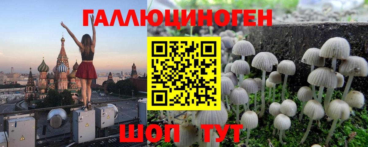 Жуковский  Галлюциногенные грибы Cubensis  Вход с VPN  даркнет сайт  Галлюциногенные грибы мухоморы 