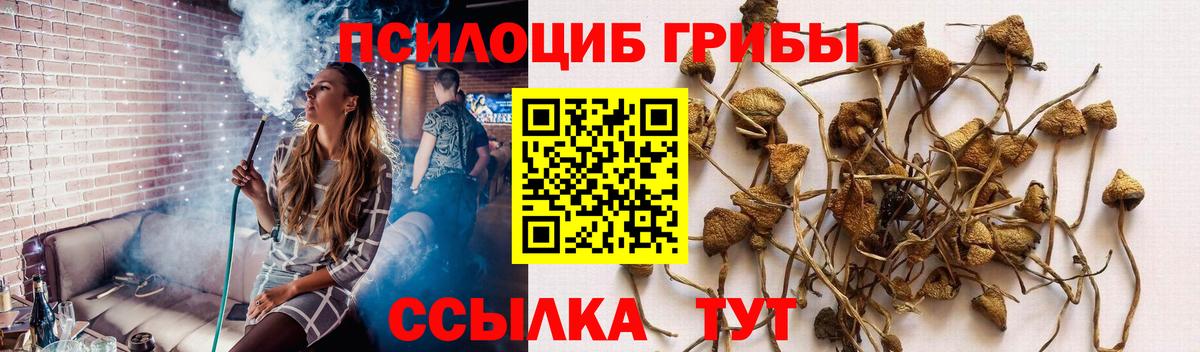 Псилоцибиновые грибы ЛСД Жуковский