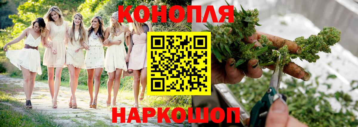 Каннабис индика Жуковский